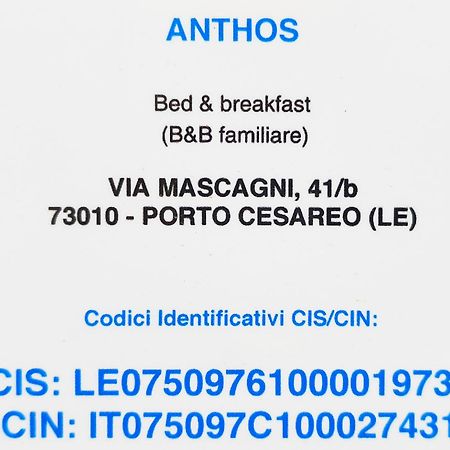 Bed Anthos Porto Cesareo Bed and Breakfast Eksteriør billede
