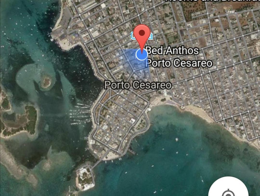 Bed Anthos Porto Cesareo Bed and Breakfast Værelse billede